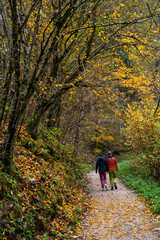 Obraz premium Unrecognized couple man and woman holding hands hiking in nature in autumn.