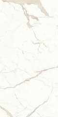 Obraz premium Texture and marble design background