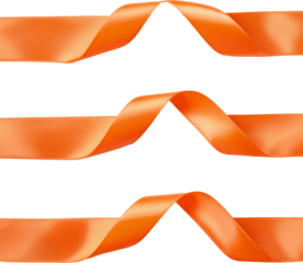 orange ribbon bow tie 