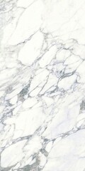 italian white marble texture,White marble with golden veins,ceramic marble design