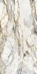 Obraz premium Natural texture of marble with high resolution, glossy slab marble texture of stone for digital wall tiles and floor tiles, granite slab stone ceramic tile, rustic Matt texture of marble.