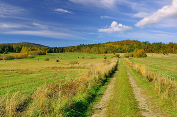 Naklejka premium Autumn landscape with a ground road. Colorful trees on a slope with dry grass and wooded mountains under blue sky. Autumn concept.