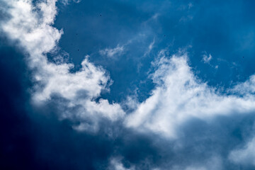 Fototapeta premium Dramatic cloudscape with fluffy cumulus clouds against a vibrant blue sky. This versatile image evokes feelings of freedom, peace, and possibility. 