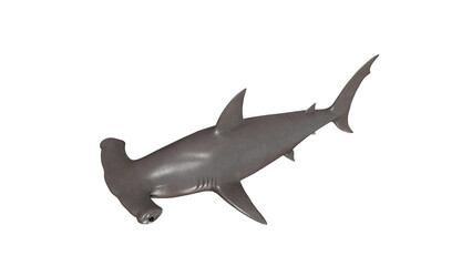 Naklejka premium hammerhead shark isolated on white