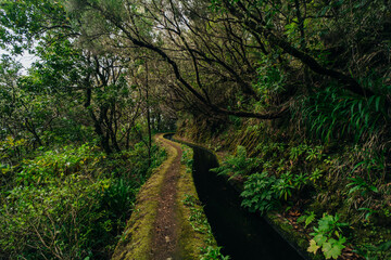 Madeira levada waterfall with beautifull green grass