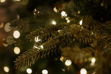 Christmas tree branches against the background of bright lights