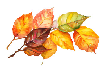 Fototapeta premium Set of fallen autumn leaves isolated on white background, cut out transparent.