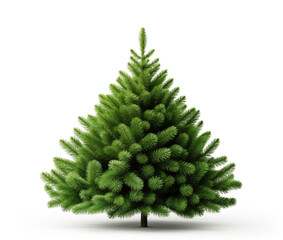 Green spruce trees collection isolated on transparent or white background