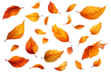 Obraz premium Set of fallen autumn leaves isolated on white background, cut out transparent.