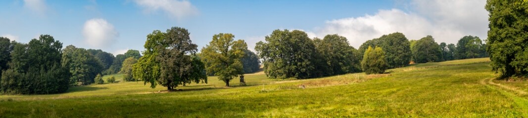 Obraz premium Panoramer einer Bergwiese in der Oberlausitz im September