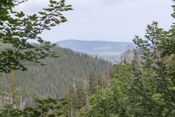  natural view with mountains covered with trees © Jorens