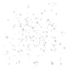 Oxygen air bubbles  flow  in water on white  background.
