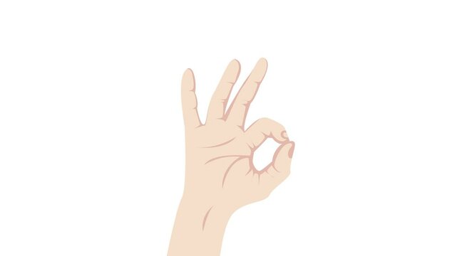 OK Hand Gesture Looping animation, green sreen and white background