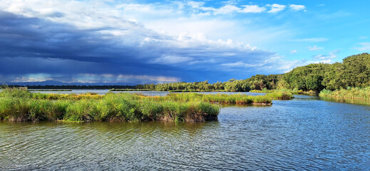 Panorama of nature of the park in Bibione - Naturalistic Oasis Val Grande. © Tanya