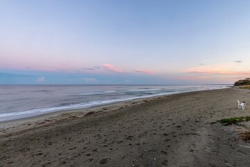 Serene beach at sunset with soft pink skies and sandy shore in evening light