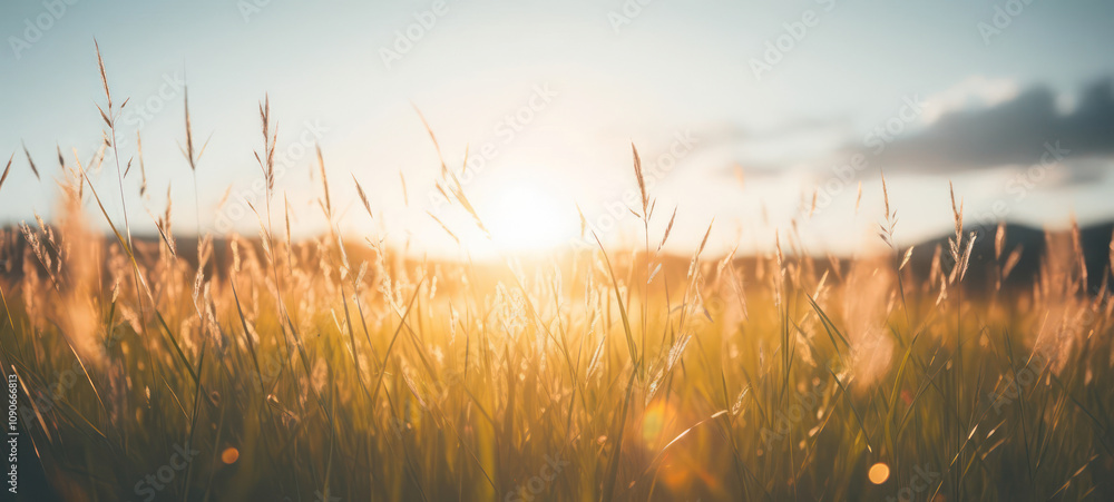 Aufkleber serene landscape of golden grass at sunset with soft light casting warm hues across the field creati