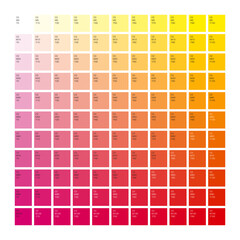 カラーチャート M+Y