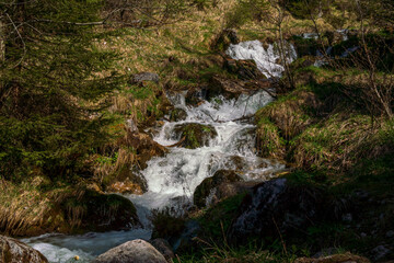 Achensee creek water flow embedded into Tirol forest nature