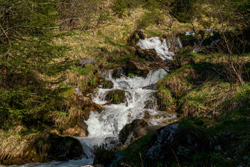 Fototapeta premium Achensee creek water flow embedded into Tirol forest nature