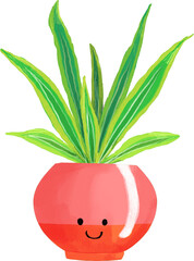 Houseplant Potted Dracaena Plant © Hydric
