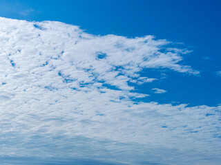 深まる秋の澄んだ青空15