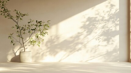 Minimal beige backdrop mockup with subtle shadow