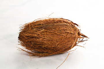 Natural exotic brown hairy coconut