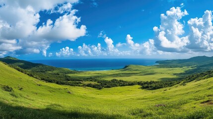 Fototapeta premium Panoramic view of lush green hills and a vibrant blue sky with fluffy white clouds over a tranquil ocean landscape.