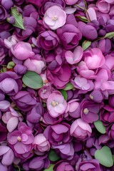 Obraz premium A close up of many purple flowers with some green leaves. The flowers are very close together and appear to be wet