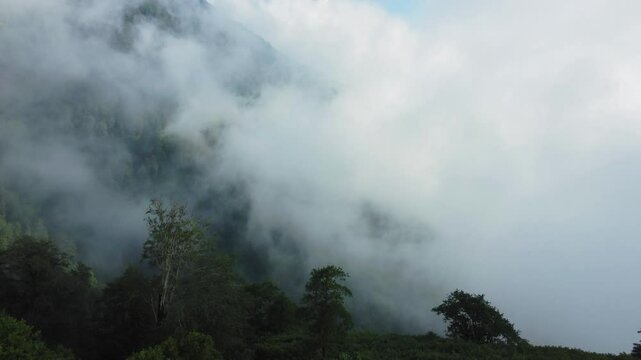 Low clouds float over mountainside covered with dense forest on summer day. Serene atmosphere enhances beauty of green landscape, creating tranquil environment. View from drone