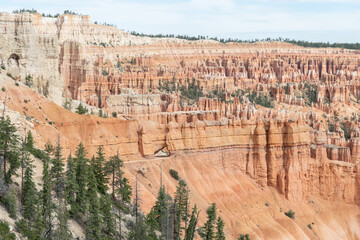 Hoodoos in Bryce Canyon National Park, Utah, USA