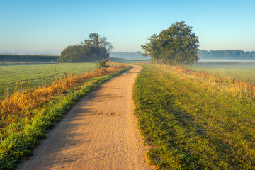 Winding unpaved country road in a Dutch polder landscape. It is an early autumn morning. The sun is still low in the sky and there is still mist hanging over the fields.