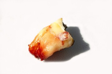 Detail of bad dead human pulled tooth, white background