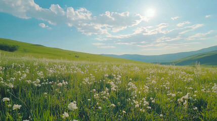 Fototapeta premium Expansive green meadow filled with wildflowers under a bright blue sky at midday