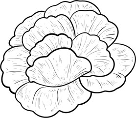 Fototapeta premium Hand Drawn Floral Line