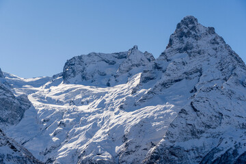 Snowy peaks and glaciers cover giant rocks. Pine and spruce forests grow at foot of mountains. which Majestic mountains against blue sky. Sunny day. Autumn 2024. Karachay-Cherkessia. Dombay.