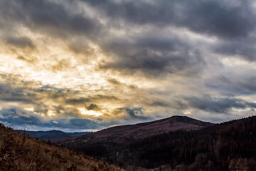 Landscapes - Forest - Europe, Romania, Suceava region