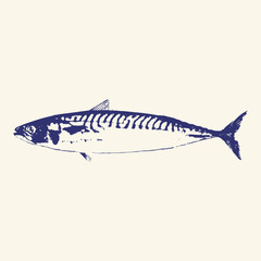 Mackerel Fish Engraving Vector Illustration