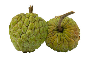 Ripe green custard apple fruit isolated. Sugar apple or custard apple isolated. Cherimoya. 