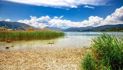 Blick vom Ufer des Tegernsee. Seegrass und Schilff umranden den Blick auf das herrliche Bergpanorama