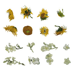 Van Gogh flower-sunflower & almond flower