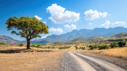 Dry Landscape Adaptation to Drought Conditions