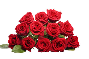 Obraz premium A bouquet of red roses with dewdrops, each bloom in full view, isolated on white background