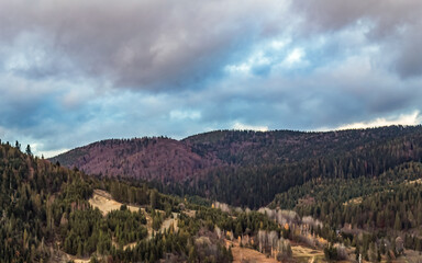 Landscapes - Forest - Europe, Romania, Suceava region