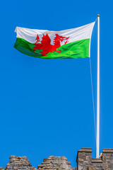 The welsh flag flying in the wind at Cardiff Castle; white and green flag with a red dragon flying high on a flagpole