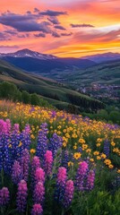 Fototapeta premium Breathtaking sunset over Vail Valley with vibrant wildflowers blooming in the foreground and mountains in the distance