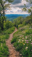 Hikers explore the Appalachian Trail amidst blooming wildflowers and rolling hills under a serene sky