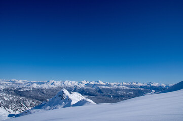 透き通り過ぎた空