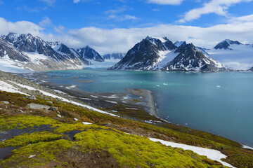 Magdalena Fjord, Spitsberg Island, Svalbard Archipelago, Norway