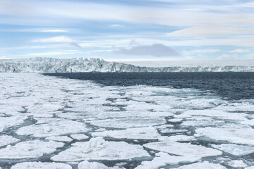 Pack ice, Bjornsundet, Spitsbergen Island, Svalbard archipelago, Norway